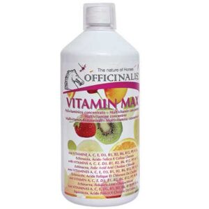 Vitamin Max Integratore naturale Officinalis 1000 ml
